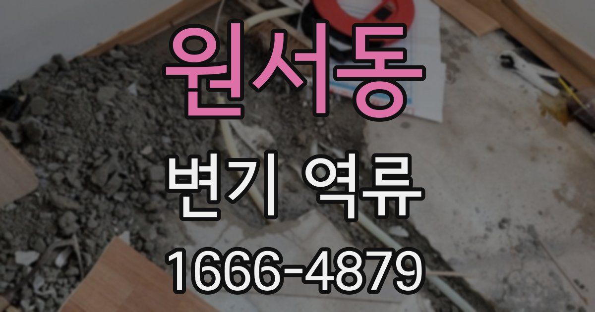 원서동 변기 역류