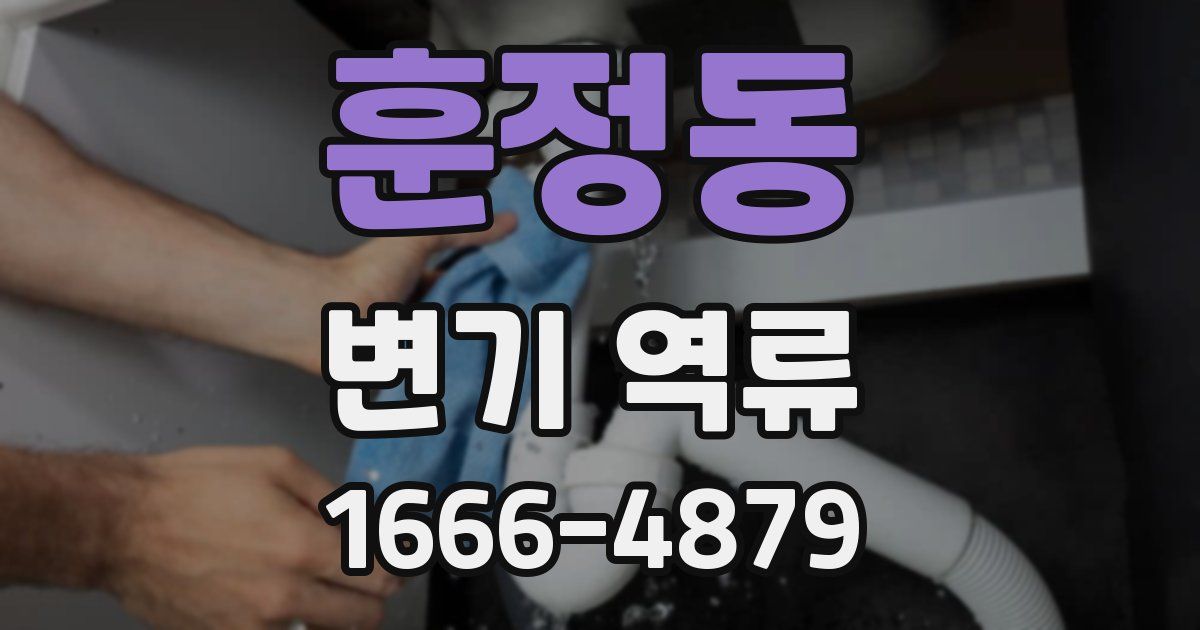 훈정동 변기 역류