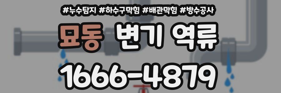 묘동 변기 역류