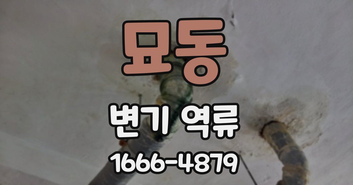 묘동 변기 역류