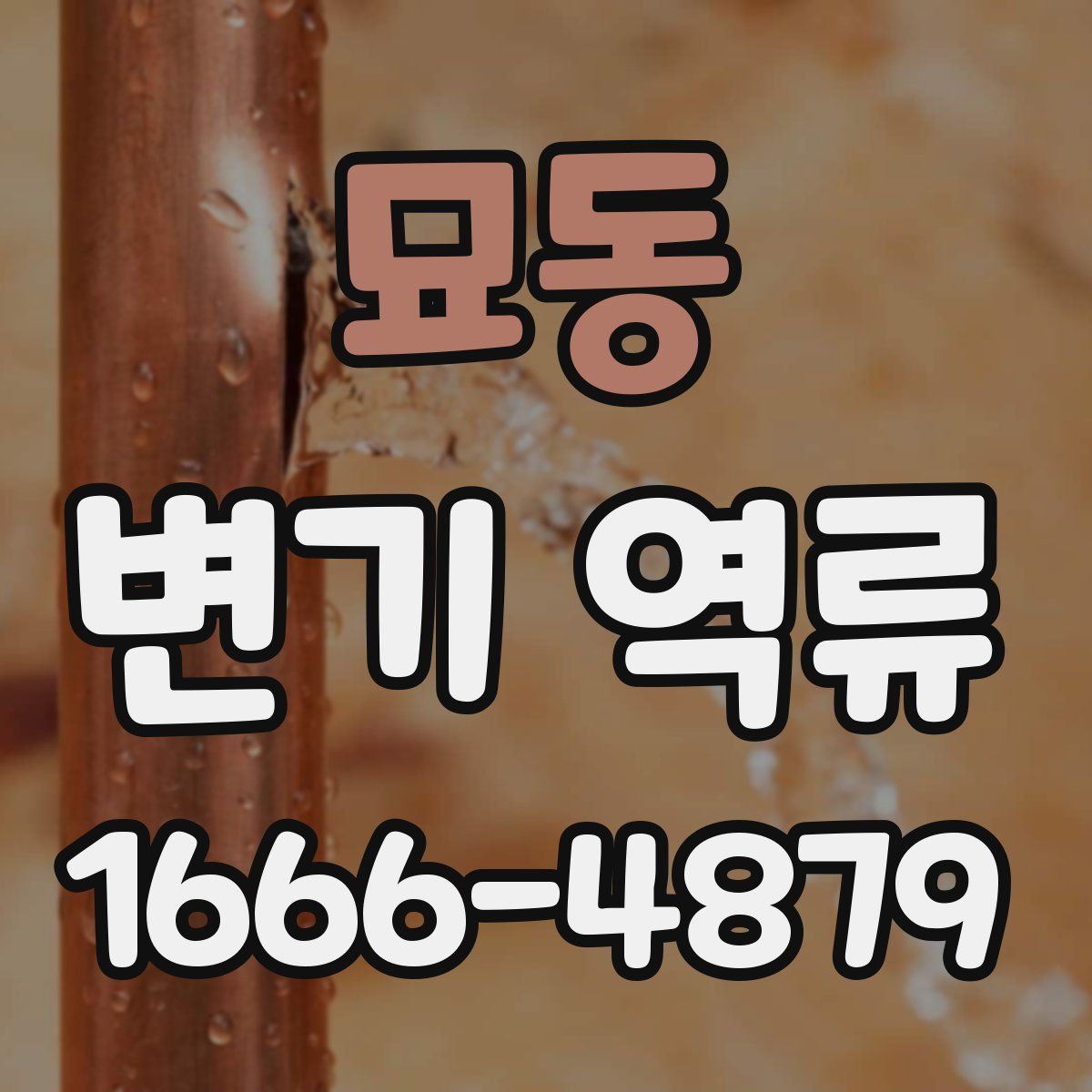 묘동 변기 역류