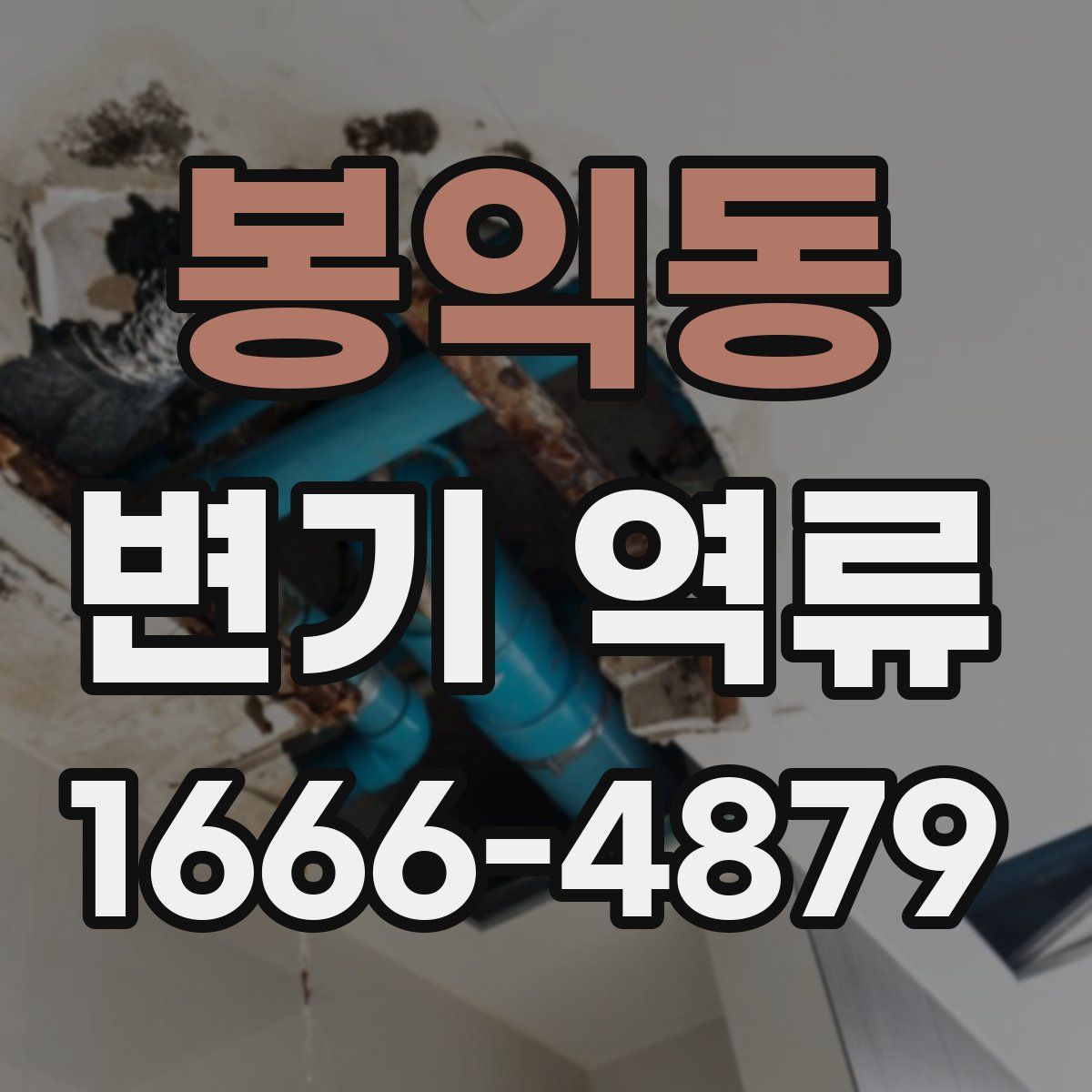 봉익동 변기 역류