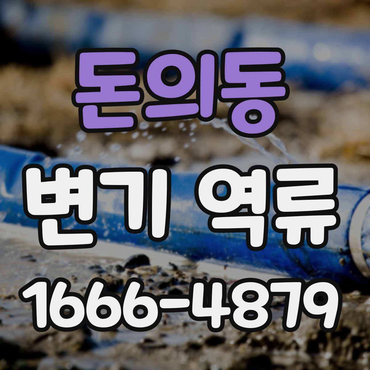 돈의동 변기 역류