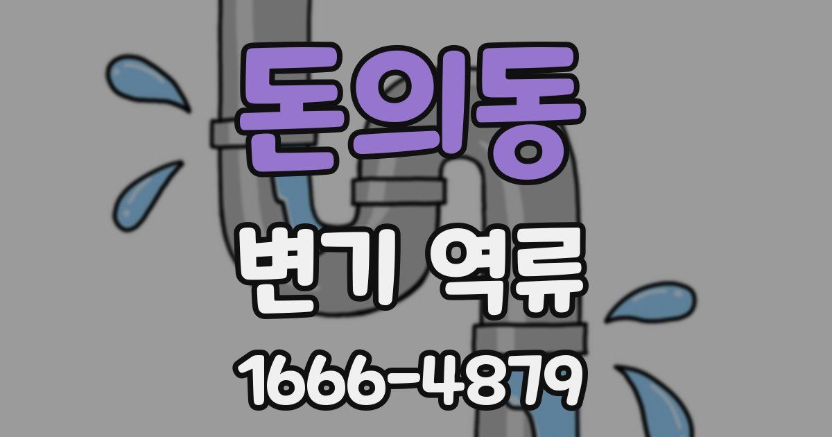 돈의동 변기 역류