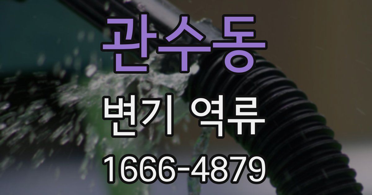 관수동 변기 역류