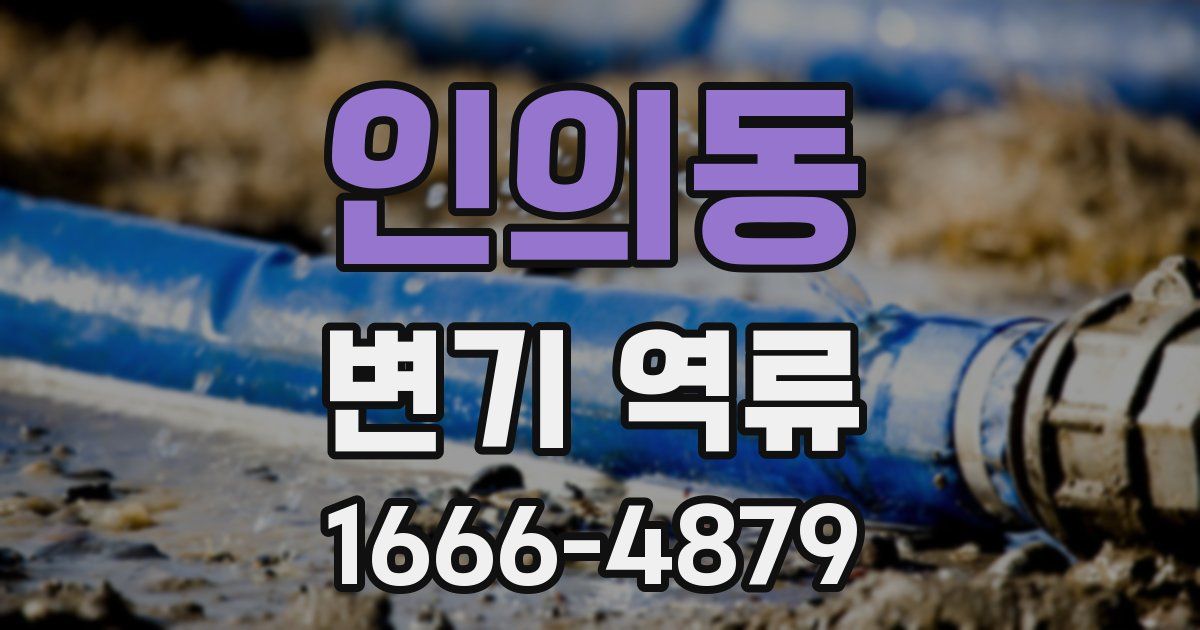 인의동 변기 역류