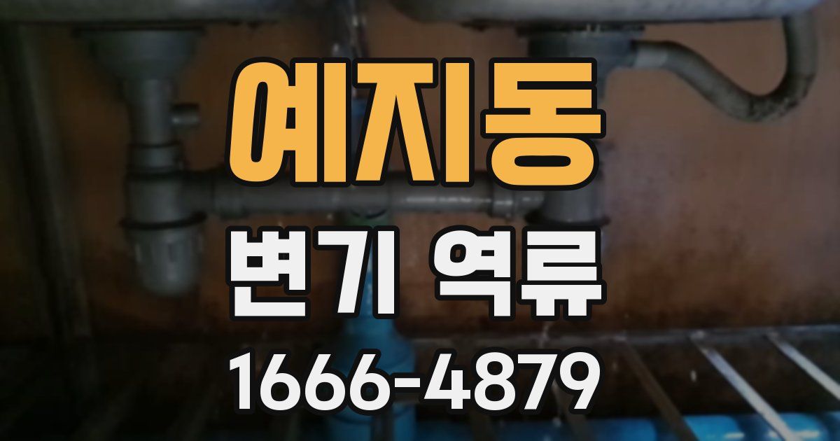 예지동 변기 역류