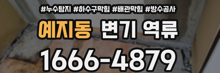 예지동 변기 역류