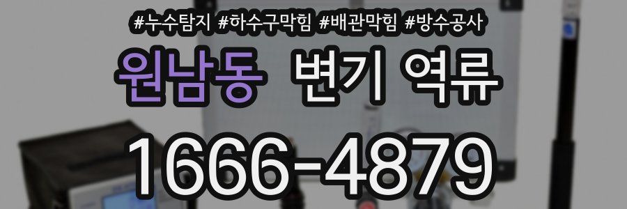원남동 변기 역류
