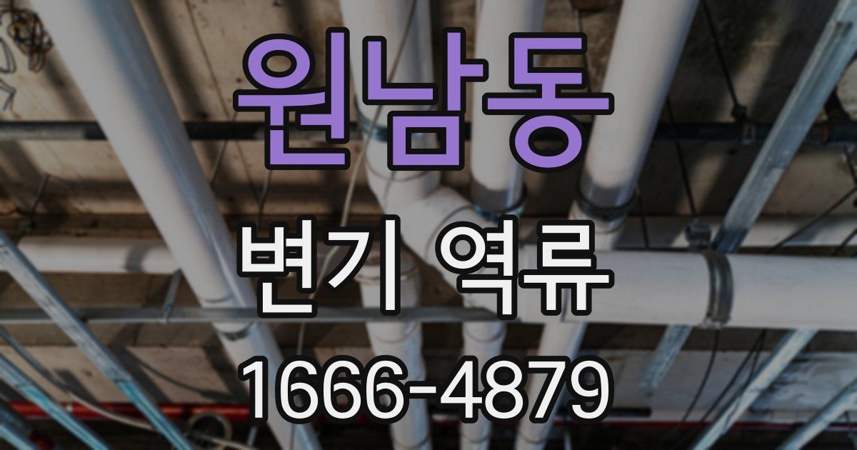 원남동 변기 역류