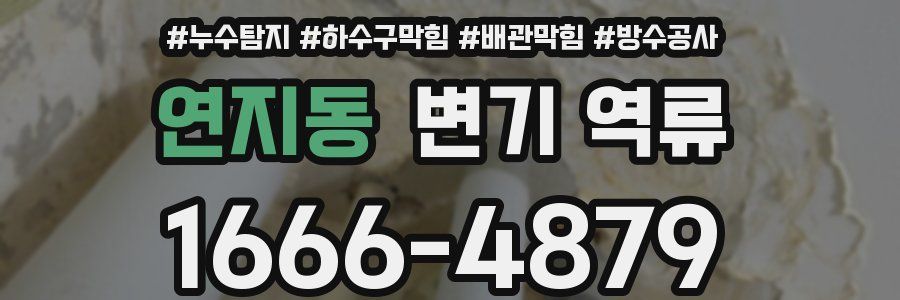 연지동 변기 역류