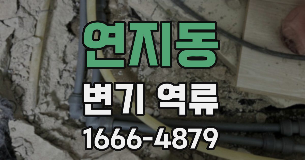 연지동 변기 역류