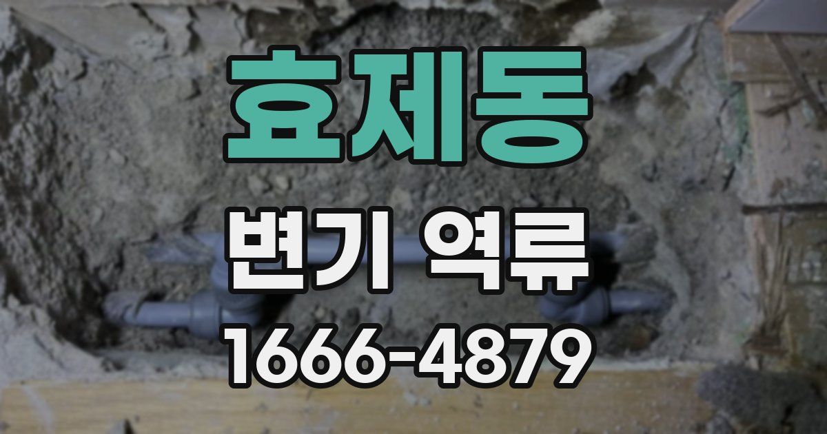 효제동 변기 역류