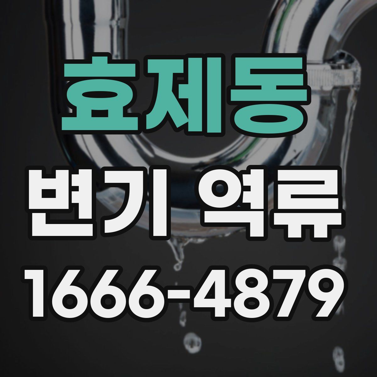 효제동 변기 역류