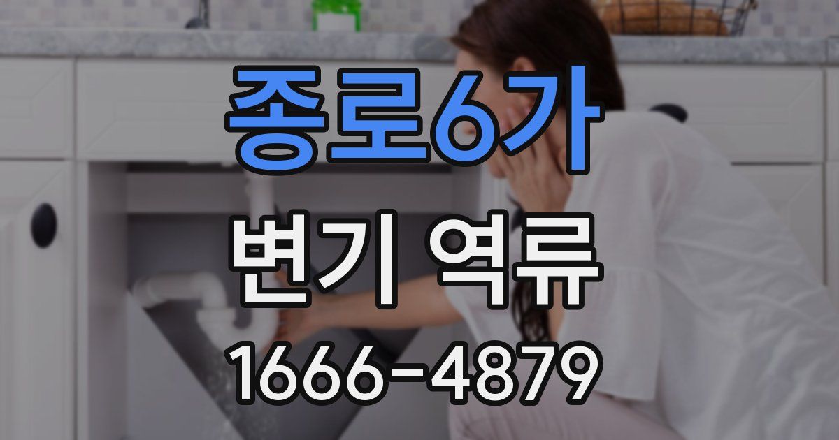 종로6가 변기 역류