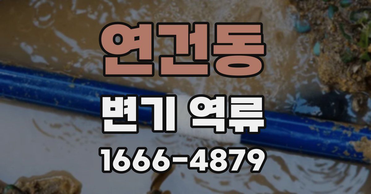 연건동 변기 역류