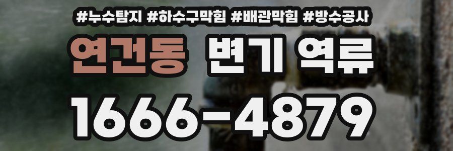 연건동 변기 역류