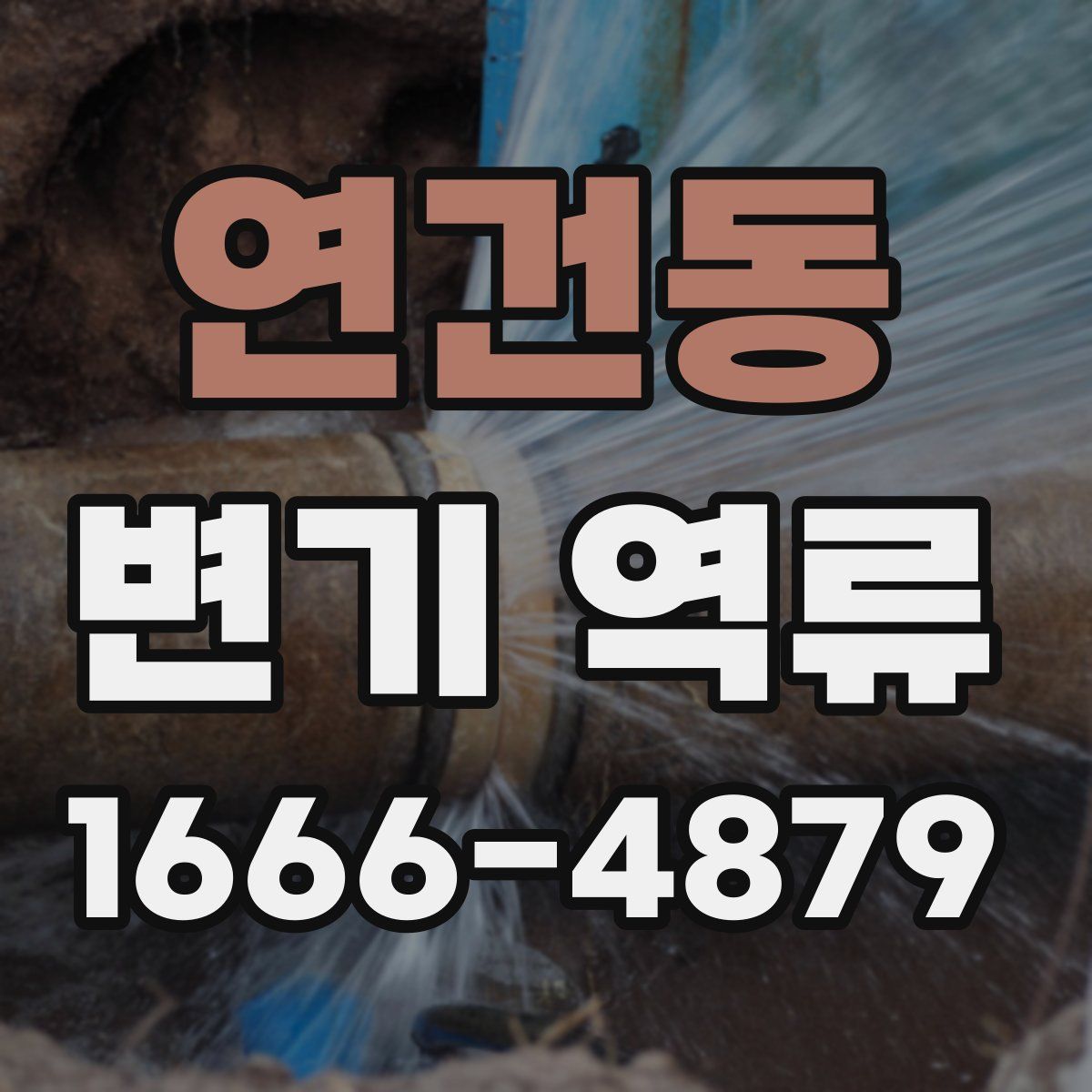 연건동 변기 역류
