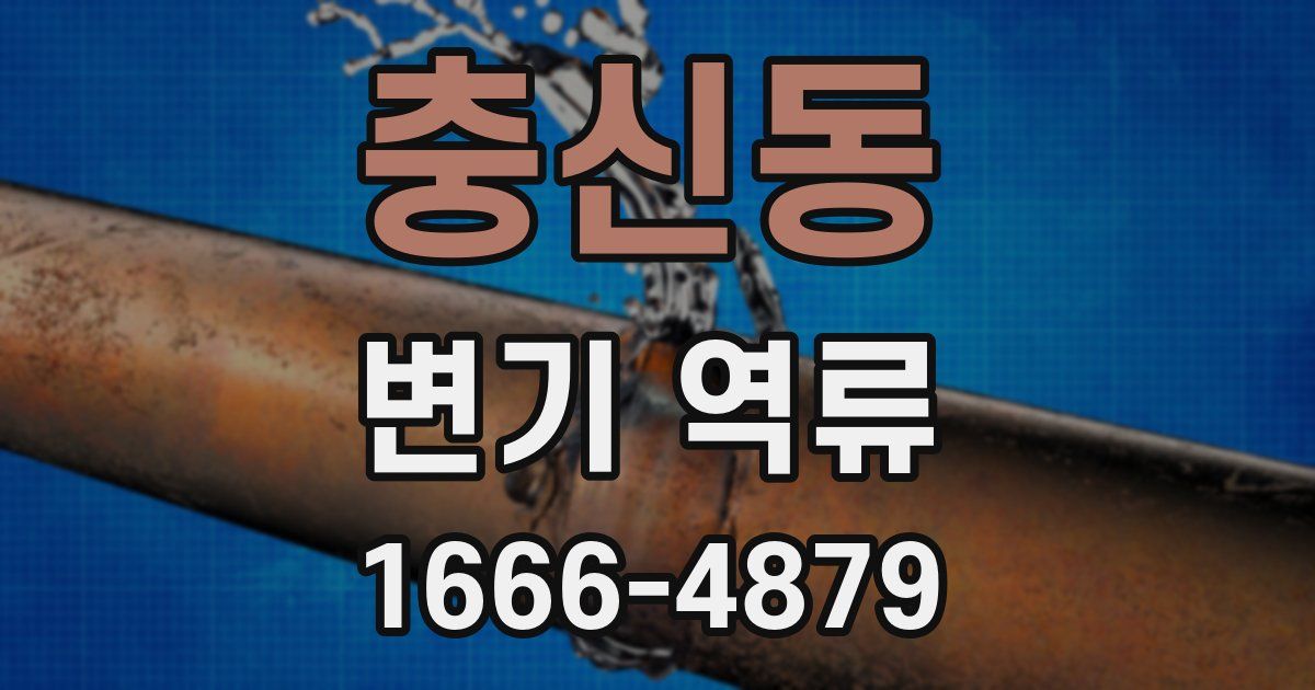 충신동 변기 역류