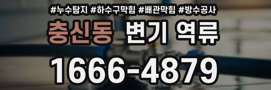 충신동 변기 역류