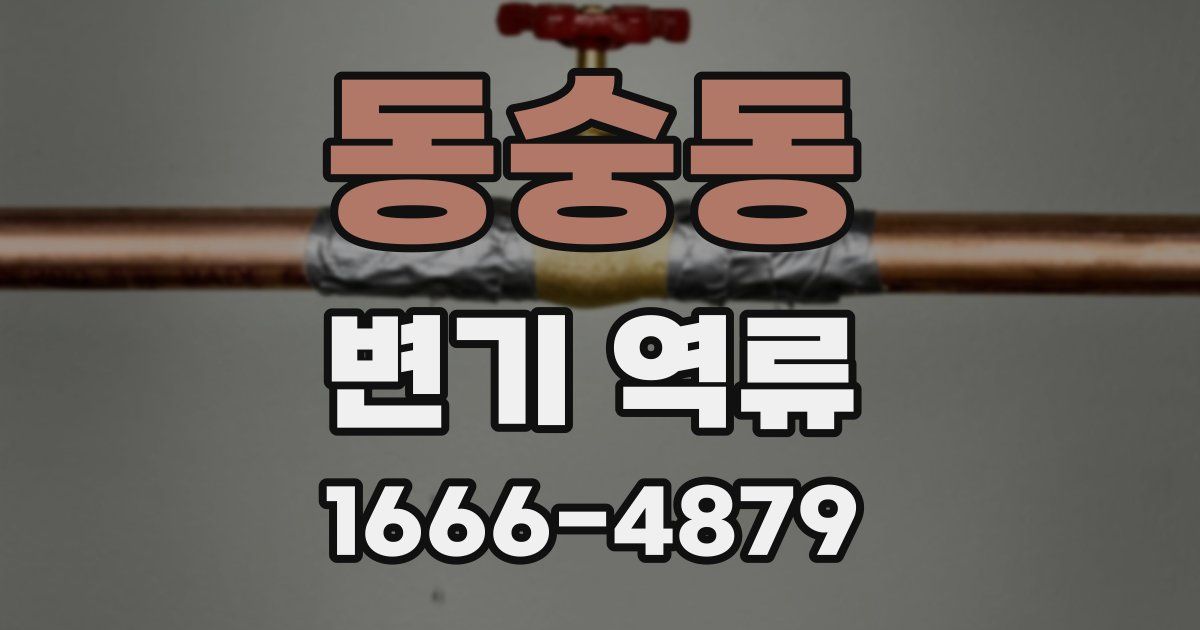 동숭동 변기 역류