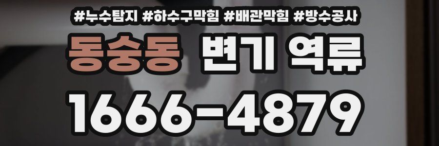 동숭동 변기 역류