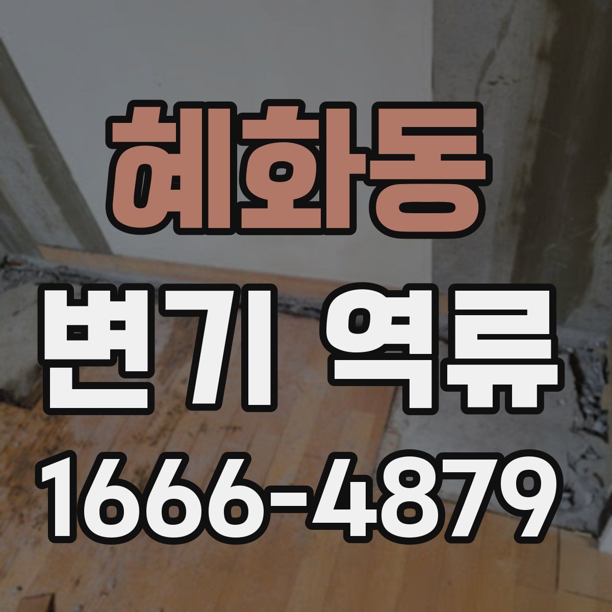 혜화동 변기 역류