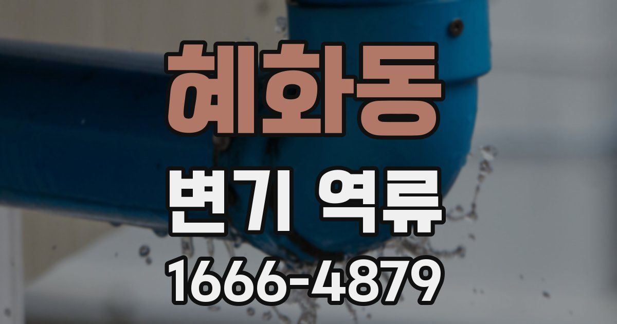 혜화동 변기 역류