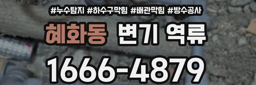 혜화동 변기 역류