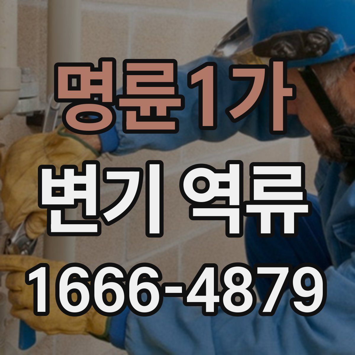 명륜1가 변기 역류