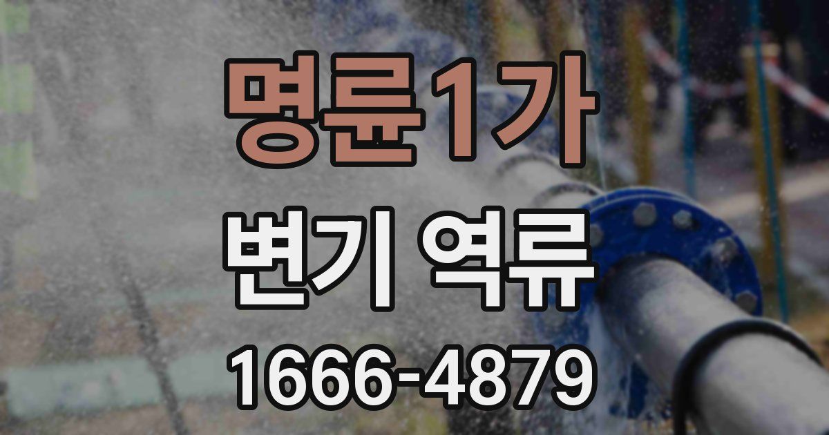 명륜1가 변기 역류