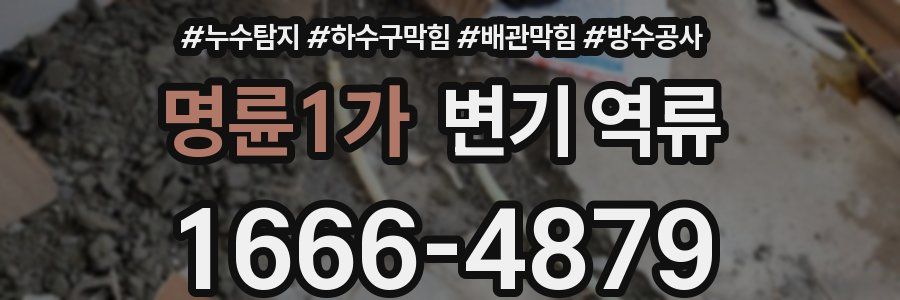 명륜1가 변기 역류