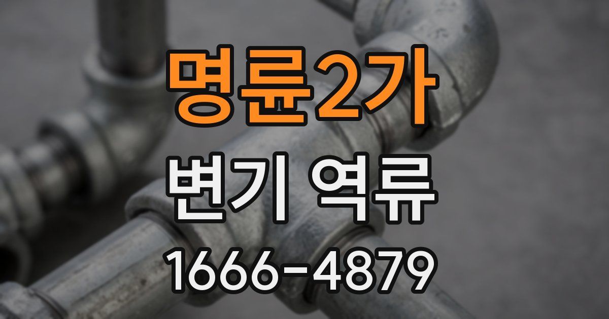 명륜2가 변기 역류