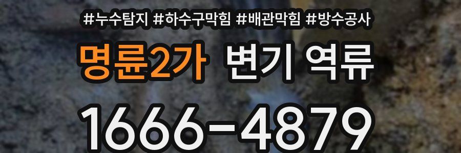 명륜2가 변기 역류