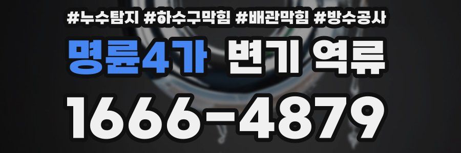 명륜4가 변기 역류