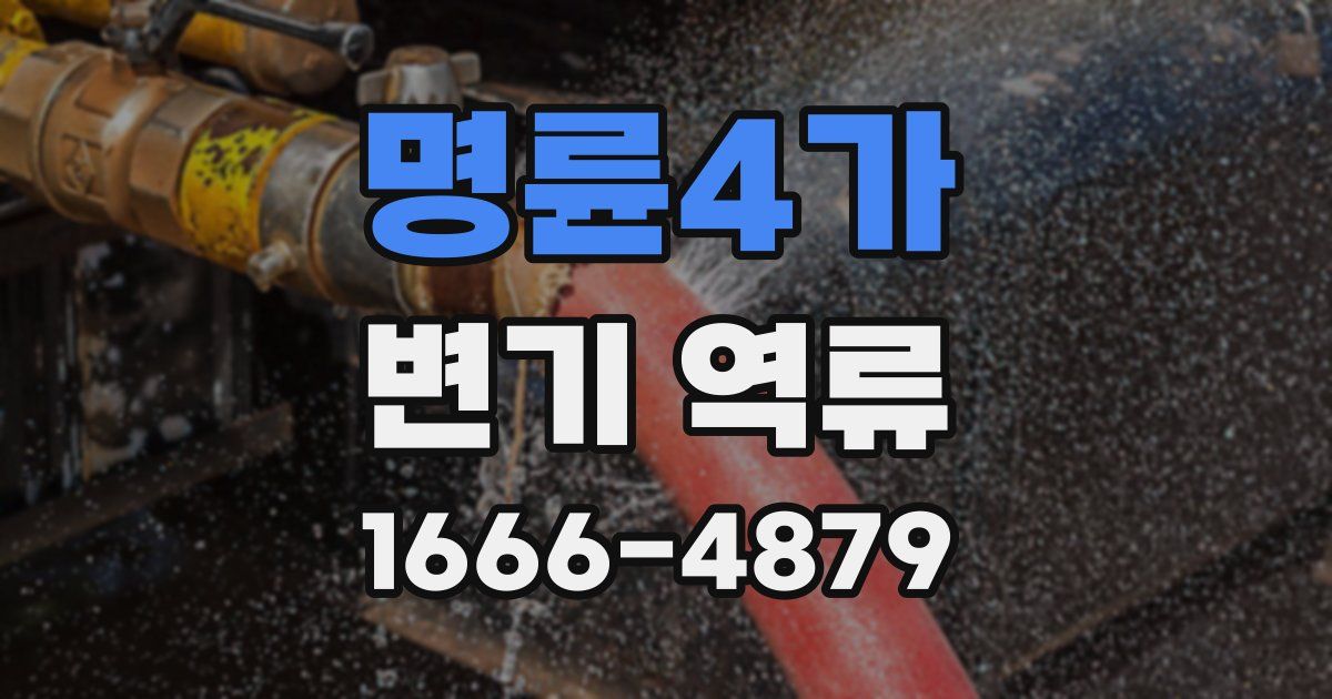 명륜4가 변기 역류