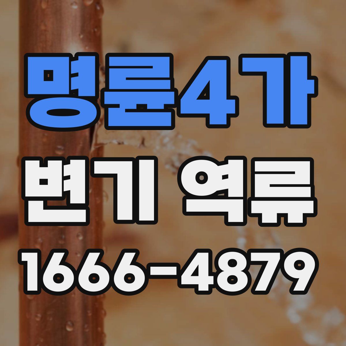 명륜4가 변기 역류