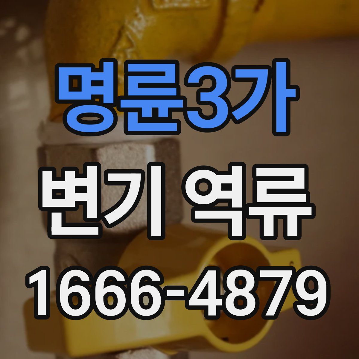 명륜3가 변기 역류