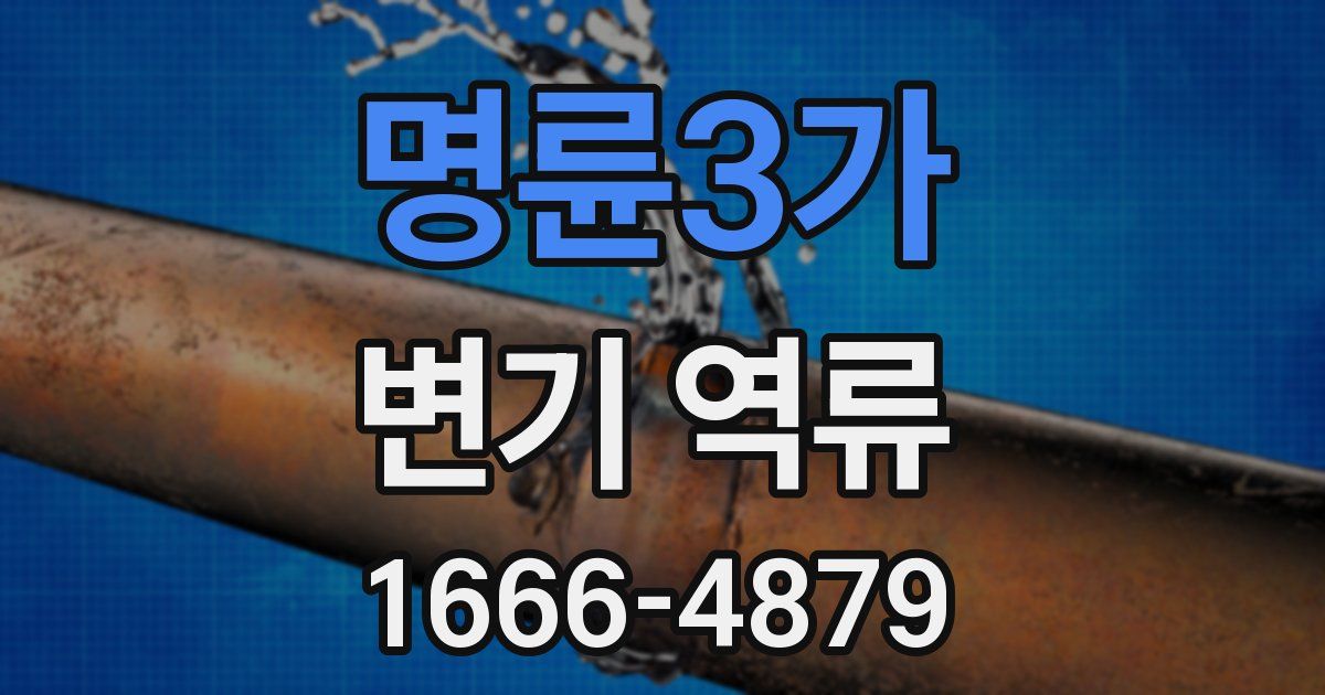 명륜3가 변기 역류