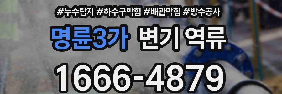 명륜3가 변기 역류