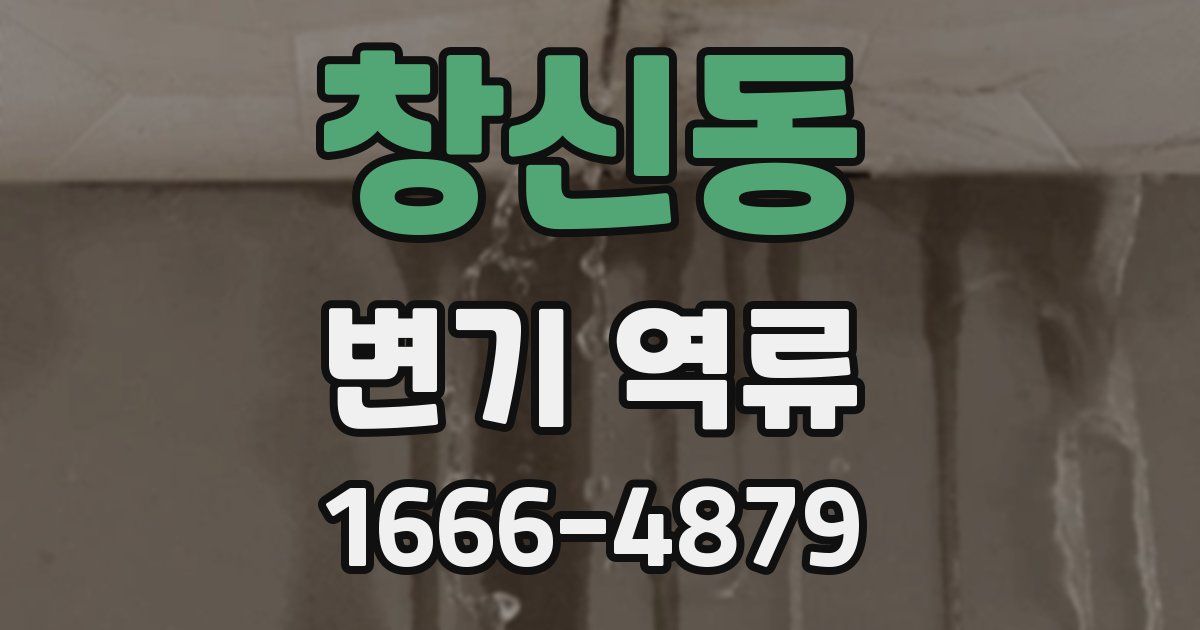 창신동 변기 역류