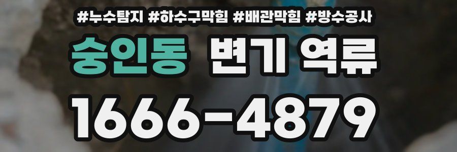 숭인동 변기 역류