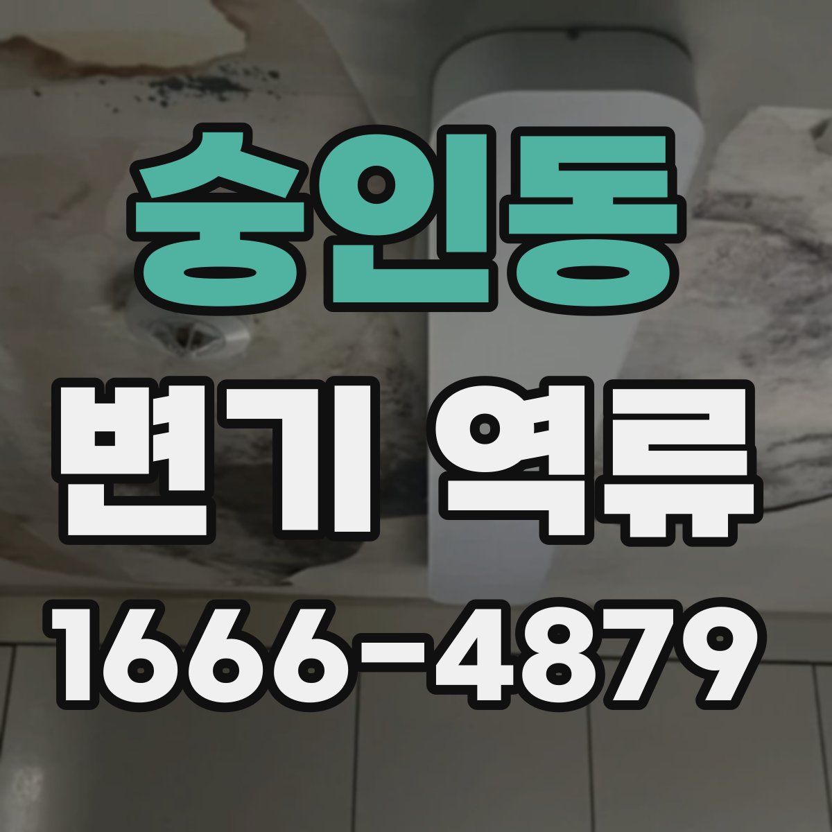 숭인동 변기 역류