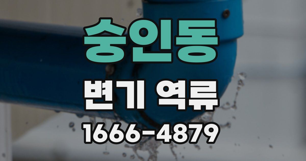숭인동 변기 역류