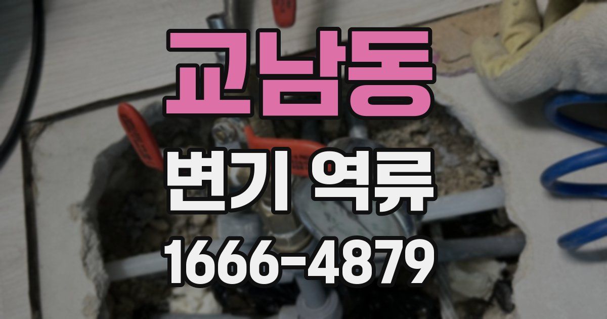 교남동 변기 역류