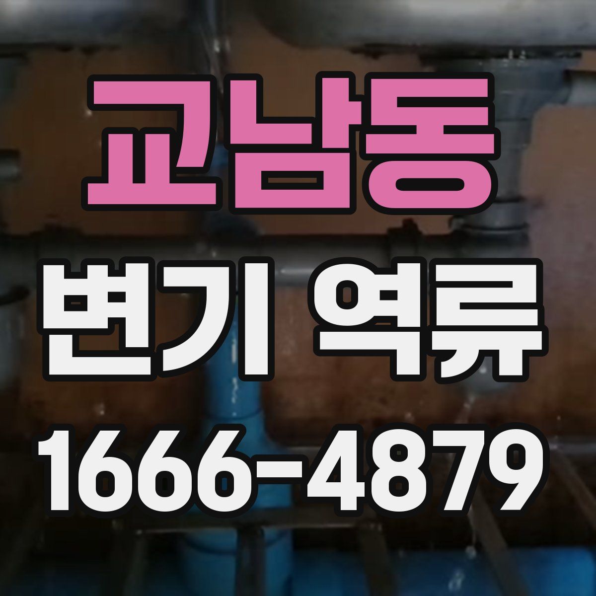 교남동 변기 역류