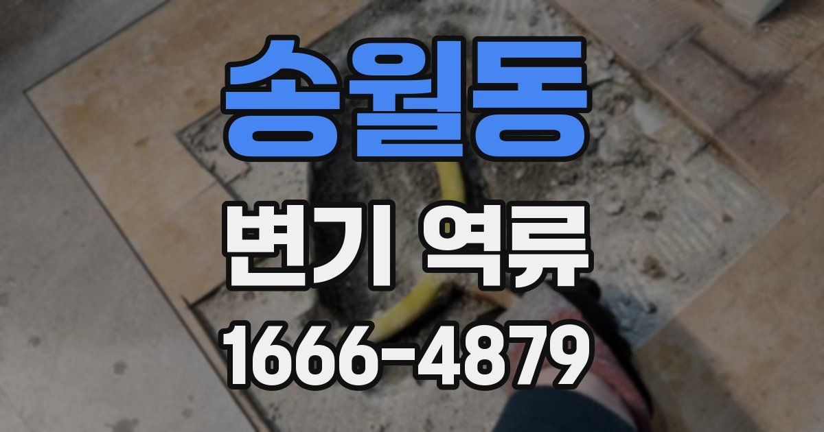 송월동 변기 역류