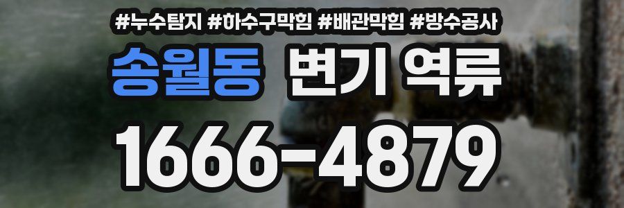 송월동 변기 역류
