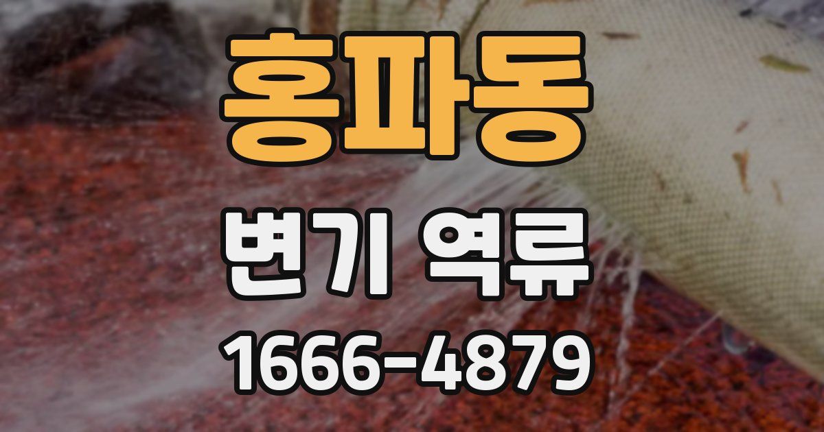 홍파동 변기 역류