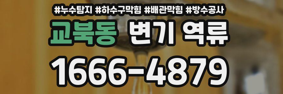 교북동 변기 역류